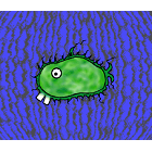 The Microfish